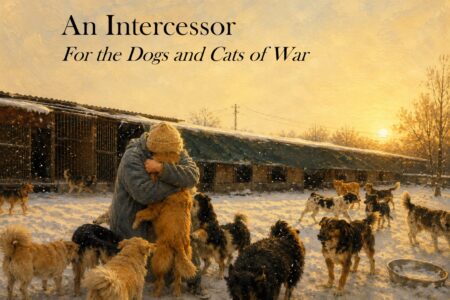 Painterly illustration of Ukrainian animal rescuer Svetlana embracing a rescued dog at the Gift a New Life Animal Shelter in snowy Vinnytsia, surrounded by dogs.