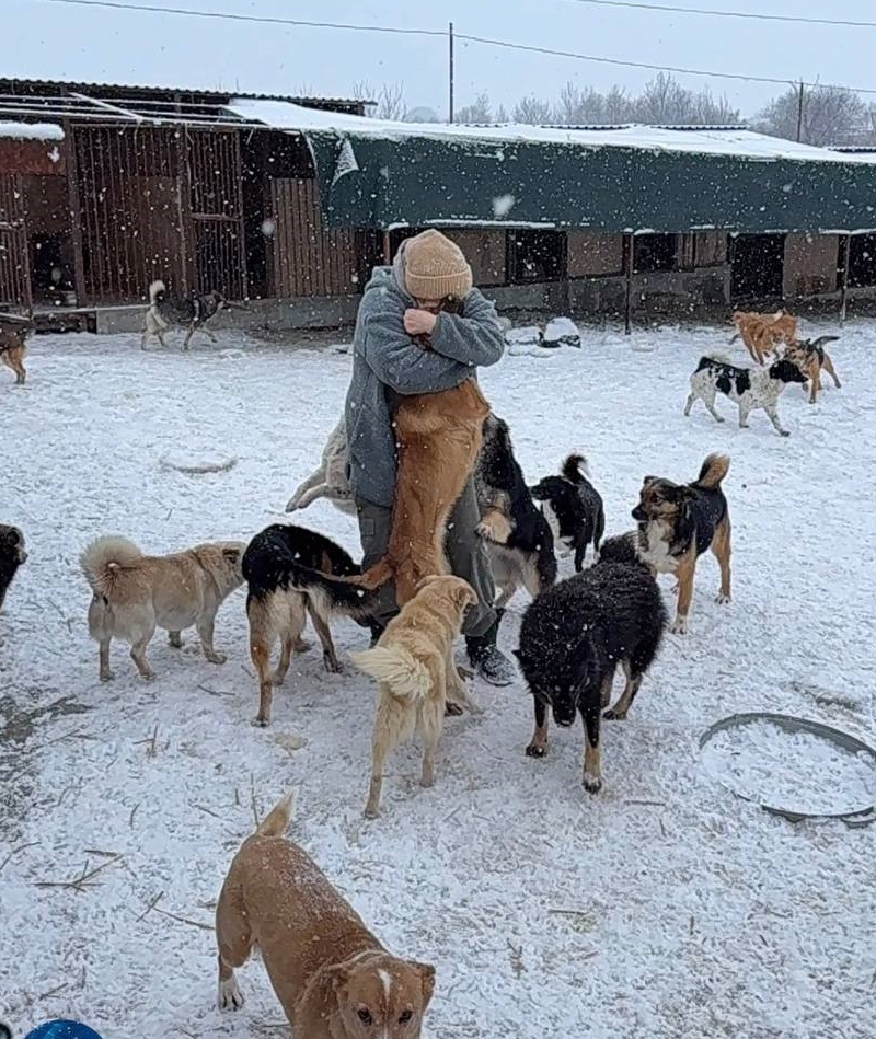 Svetlana embraces one of the rescued dogs at her Gift a New Life Animal Shelter in Vinnytsia, Ukraine, surrounded by many of the animals in her care.