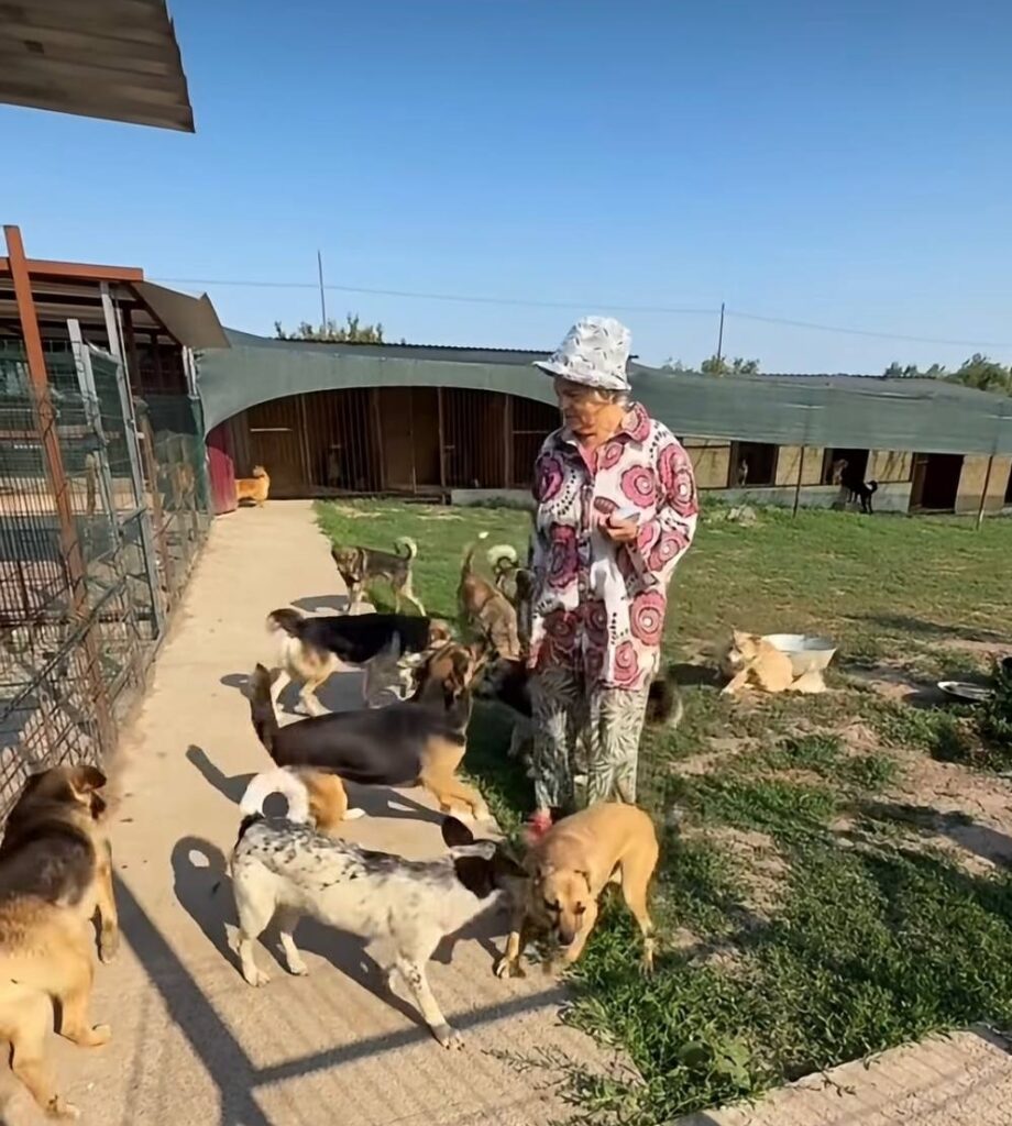 Svetlana walks among the rescued dogs at Gift a New Life Animal Shelter in Vinnytsia, Ukraine, where hundreds of animals now have a safe home.