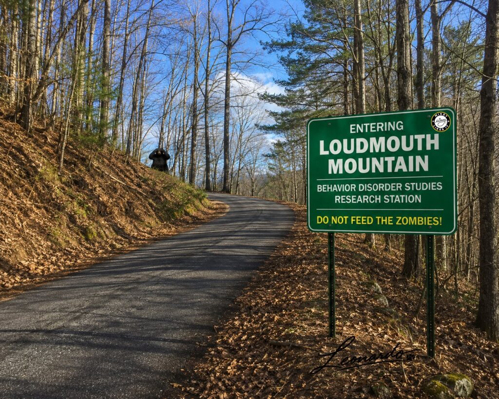 Wooded mountain road with a sign reading “Entering LOUDMOUTH Mountain — Behavior Disorder Studies Research Station — Do Not Feed the Zombies,” as a black bear covers its ears in the distance.